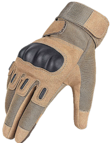 Winter Handschoen